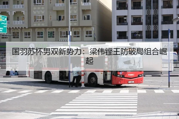 guo-yu-su-bei-nan-shuang-xin-shi-li-liang-wei-keng-wang-fang-po-ju-zu-he-jue-qi-2-763.jpg