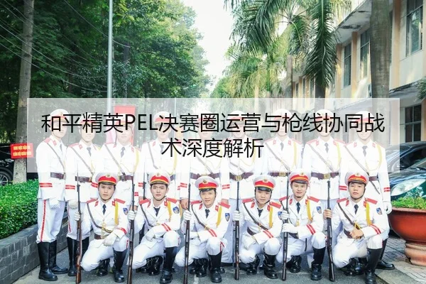 he-ping-jing-ying-jue-sai-quan-yun-ying-yu-qiang-xian-xie-tong-zhan-shu-shen-du-jie-xi-3-903.jpg