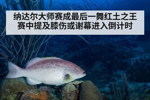 纳达尔大师赛成最后一舞红土之王赛中提及膝伤或谢幕进入倒计时