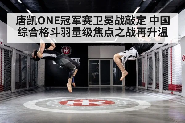 mixed martial arts training gym